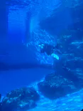 名古屋港水族館に投稿された画像（2026/5/30）