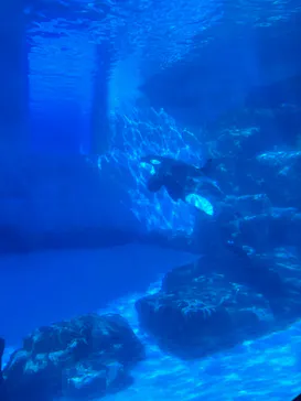 名古屋港水族館に投稿された画像（2026/5/30）