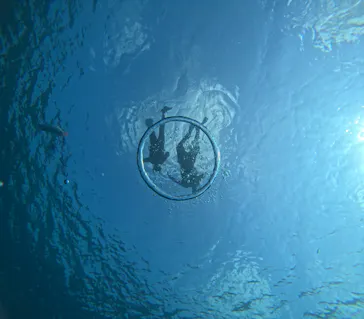 SeaChan石垣島に投稿された画像（2026/5/30）