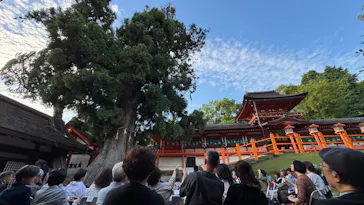 春日の杜に奏でるコンサート実行委員会に投稿された画像（2026/5/30）