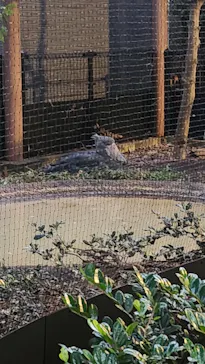 恩賜上野動物園に投稿された画像（2026/5/30）