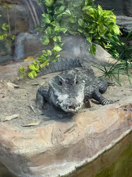 恩賜上野動物園に投稿された画像（2026/5/30）