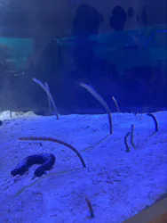 名古屋港水族館に投稿された画像（2026/5/30）