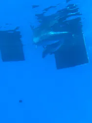 名古屋港水族館に投稿された画像（2026/5/30）