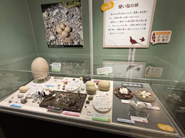 ミュージアムパーク茨城県自然博物館に投稿された画像（2026/5/30）