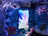 ひらかたパークに投稿された画像（2026/5/31）