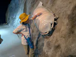 伊豆・三津シーパラダイスに投稿された画像（2026/5/31）