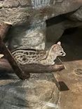 名古屋市東山動植物園に投稿された画像（2026/5/31）