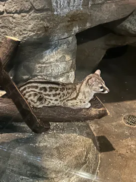 名古屋市東山動植物園に投稿された画像（2026/5/31）