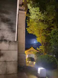 前田育徳会創立百周年記念 特別展「百万石！加賀前田家」(東京国立博物館 平成館)に投稿された画像（2026/5/31）