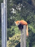 千葉市動物公園に投稿された画像（2026/5/31）