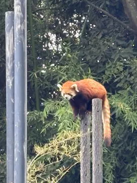 千葉市動物公園に投稿された画像（2026/5/31）
