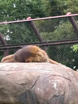 千葉市動物公園に投稿された画像（2026/5/31）