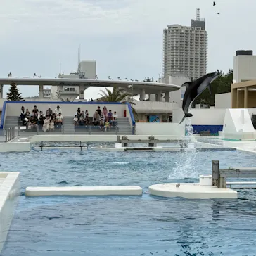 鴨川シーワールドに投稿された画像（2026/5/31）
