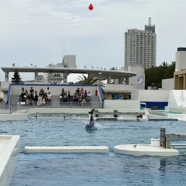 鴨川シーワールドに投稿された画像（2026/5/31）