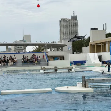 鴨川シーワールドに投稿された画像（2026/5/31）
