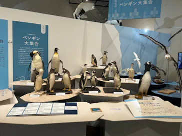 特別展「鳥 ～ゲノム解析が解き明かす新しい鳥類の系統～」に投稿された画像（2026/5/31）