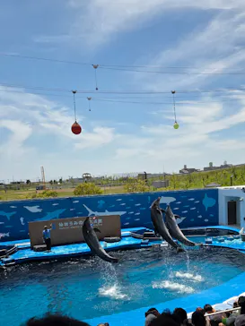 仙台うみの杜水族館に投稿された画像（2026/5/31）