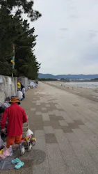 形原地先（春日浦海岸）潮干狩り場に投稿された画像（2026/5/31）