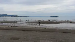 形原地先（春日浦海岸）潮干狩り場に投稿された画像（2026/5/31）