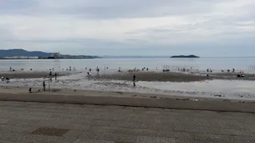 形原地先（春日浦海岸）潮干狩り場に投稿された画像（2026/5/31）