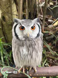 伊豆シャボテン動物公園に投稿された画像（2026/5/31）