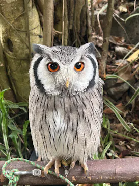 伊豆シャボテン動物公園に投稿された画像（2026/5/31）