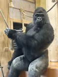 名古屋市東山動植物園に投稿された画像（2026/5/31）