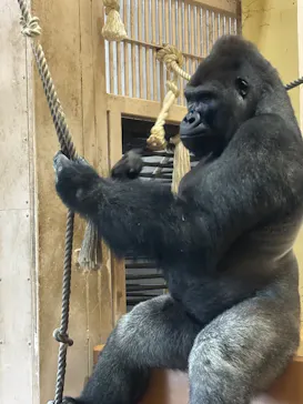 名古屋市東山動植物園に投稿された画像（2026/5/31）