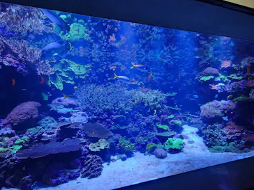 大分マリーンパレス水族館 「うみたまご」に投稿された画像（2026/5/31）
