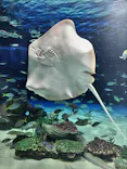 サンシャイン水族館に投稿された画像（2026/5/31）