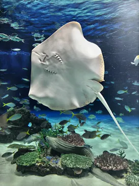サンシャイン水族館に投稿された画像（2026/5/31）