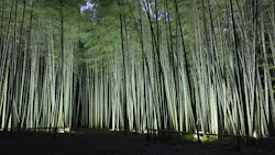 若竹の杜  若山農場に投稿された画像（2026/5/31）