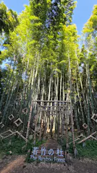若竹の杜  若山農場に投稿された画像（2026/5/31）