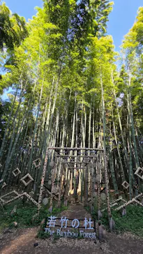 若竹の杜  若山農場に投稿された画像（2026/5/31）