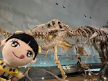 福井県立恐竜博物館に投稿された画像（2026/5/31）