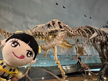 福井県立恐竜博物館に投稿された画像（2026/5/31）
