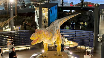 福井県立恐竜博物館に投稿された画像（2026/5/31）