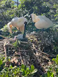 多摩動物公園に投稿された画像（2026/5/31）
