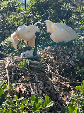 多摩動物公園に投稿された画像（2026/5/31）