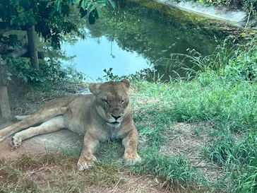 多摩動物公園に投稿された画像（2026/5/31）