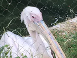 名古屋市東山動植物園に投稿された画像（2026/5/31）