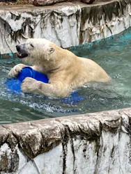 名古屋市東山動植物園に投稿された画像（2026/5/31）