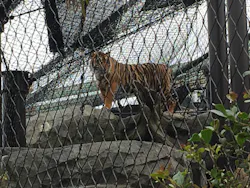 名古屋市東山動植物園に投稿された画像（2026/5/31）