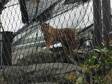 名古屋市東山動植物園に投稿された画像（2026/5/31）