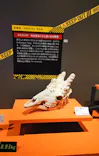 特別展「超危険生物展　科学で挑む生き物の本気」に投稿された画像（2026/5/31）