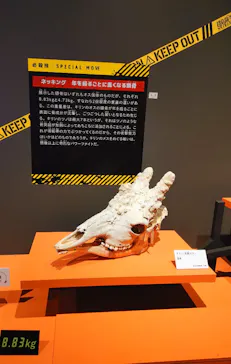 特別展「超危険生物展　科学で挑む生き物の本気」に投稿された画像（2026/5/31）