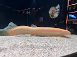 AQUARIUM × ART　atoaに投稿された画像（2026/5/31）
