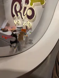 いぬカフェRio 池袋店に投稿された画像（2026/5/31）