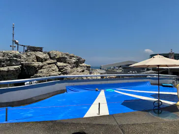 大分マリーンパレス水族館 「うみたまご」に投稿された画像（2026/5/31）